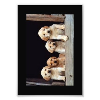 写真カスタムプリント フォトプリント           