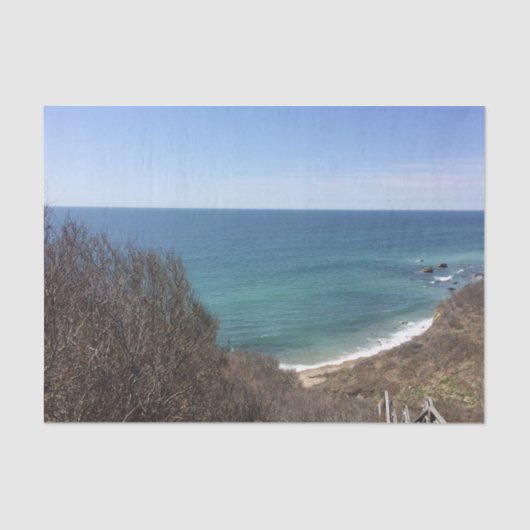 写真カスタム写真パーソナライズされた 薄葉紙 (正面)