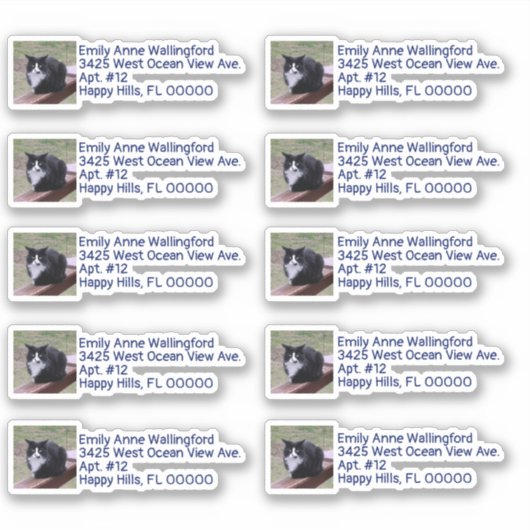 写真カスタム形差出人住所ラベル シール (正面)