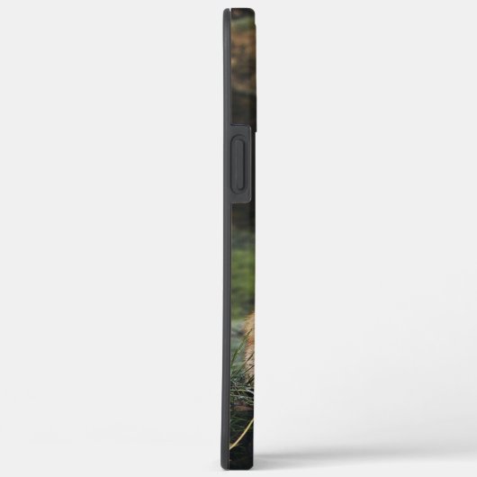 写真カスタム愛らしい動物キツネかわいい自然グリーン Case-Mate iPhoneケース (裏面 / 右)