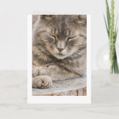 写真カスタム猫の共感書 カード (裏面)