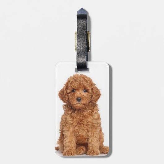 写真カスタム画像の両面パーソナライズされた ラゲッジタグ (裏面縦)