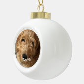 写真カスタム画像写真名 セラミックボールオーナメント (右)