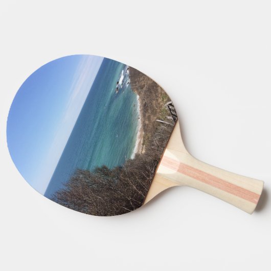写真カスタム画像写真 卓球ラケット (横)