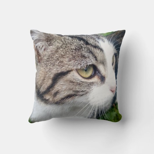 写真カスタム装飾用クッション |ここに画像を追加 クッション (裏面)