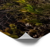 写真カラフルモダン自然動機 ポスター (角)