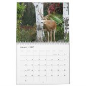 写真カレンダーでの冒険 カレンダー (1月 2027)
