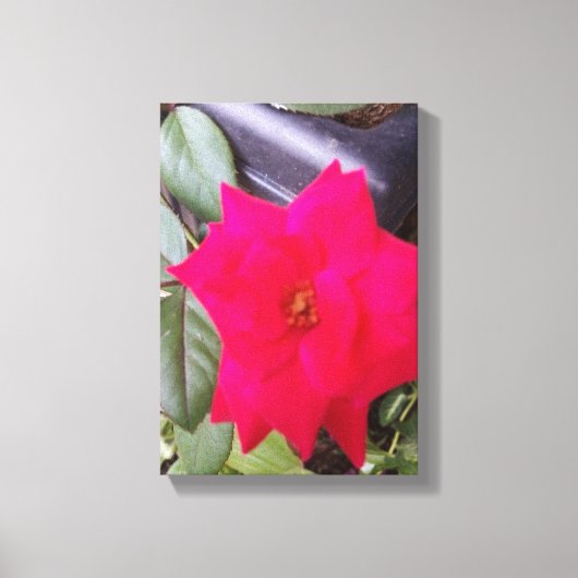 写真カンバスアート キャンバスプリント (正面)