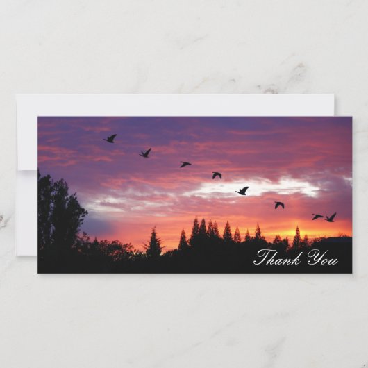 ""、写真カードありがとう サンキューカード (正面)