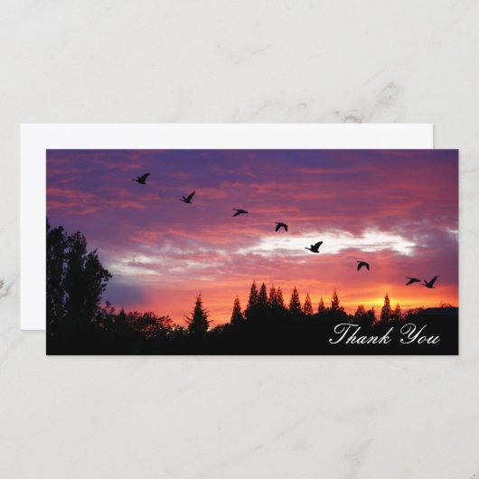 ""、写真カードありがとう サンキューカード (正面/裏面)