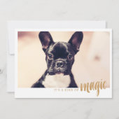 写真カード一種の魔法 (正面)