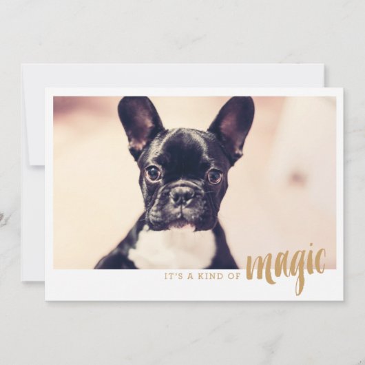 写真カード一種の魔法 (正面)