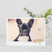 写真カード一種の魔法 (スタンド正面)