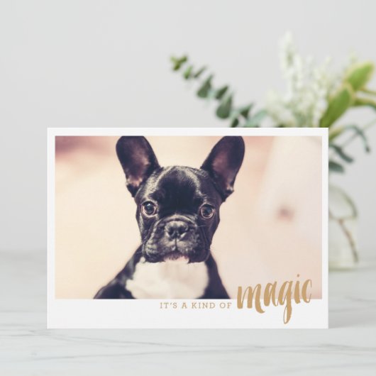 写真カード一種の魔法 (スタンド正面)