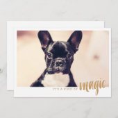 写真カード一種の魔法 (正面/裏面)