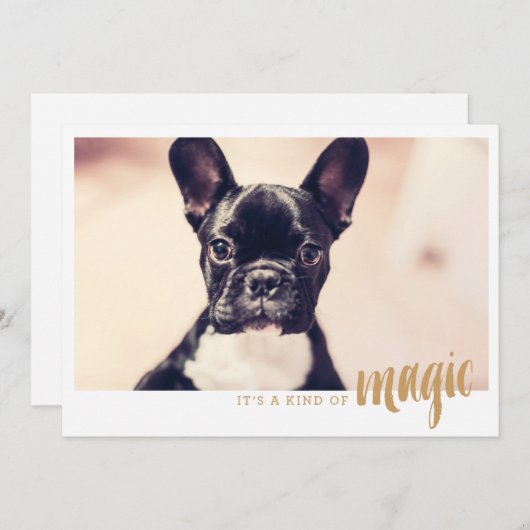 写真カード一種の魔法 (正面/裏面)