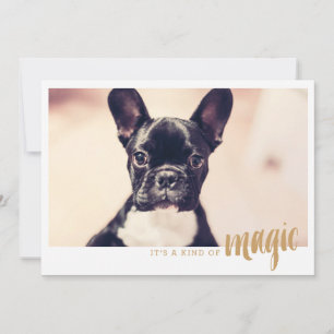 写真カード一種の魔法