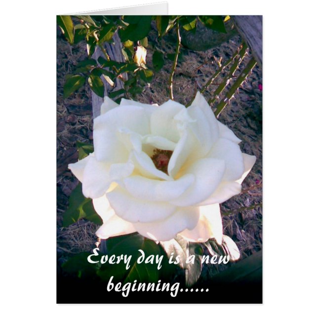 写真カード1 (正面)