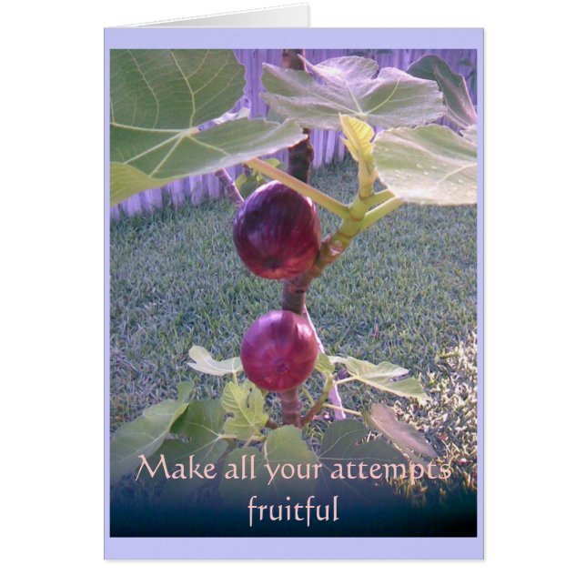 写真カード3 (正面)