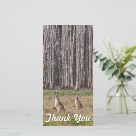 写真カード-オーストラリアのカンガルーありがとう サンキューカード (スタンド正面)