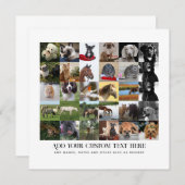 写真ギフト 母 父 祖父 祖母 ペット 友達   招待状 (正面/裏面)