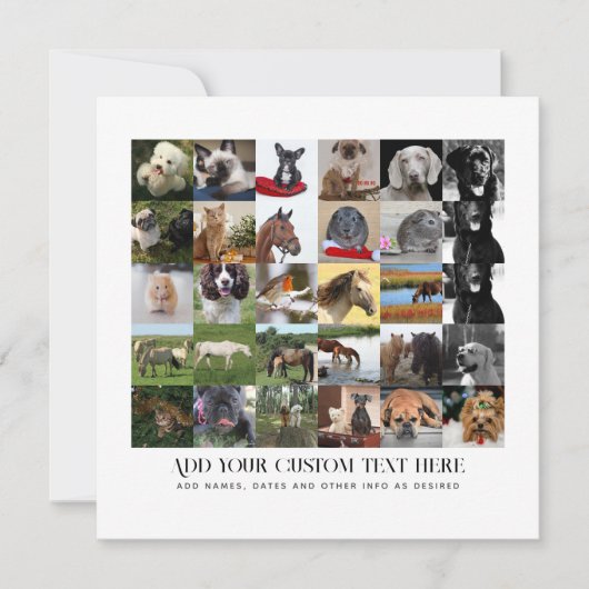 写真ギフト 母 父 祖父 祖母 ペット 友達   招待状 (正面)