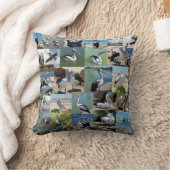 写真コラージュのペリカンのコレクション クッション (ブランケット)