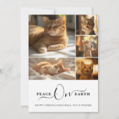 写真コラージュ平和オンアースMeowyクリスマスキャット シーズンカード (正面)