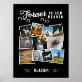写真コラージュ永遠に私たちのハート馬メモリアル ポスター (正面)