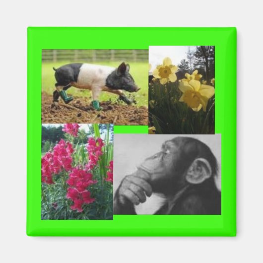 写真コラージュ マグネット (正面)