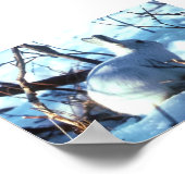 写真サイズのArctic Hare ポスター (角)