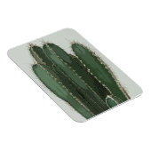 写真サボテンモダン マグネット (右側)