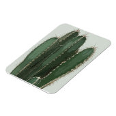 写真サボテンモダン マグネット (左側)