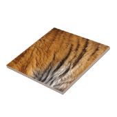 写真サンプルされたトラのストライプ大きな猫野生生物 タイル (側面)