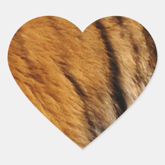 写真サンプルされたトラのストライプ大きな猫野生生物 ハートシール (正面)