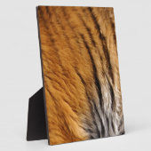 写真サンプルされたトラのストライプ大きな猫野生生物 フォトプラーク (側面)