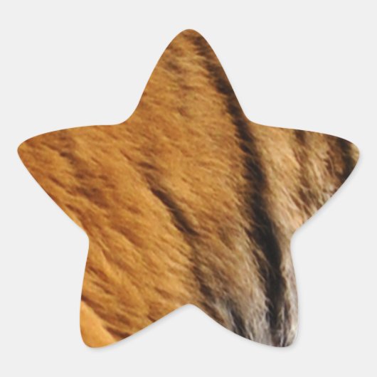 写真サンプルされたトラのストライプ大きな猫野生生物 星シール (正面)