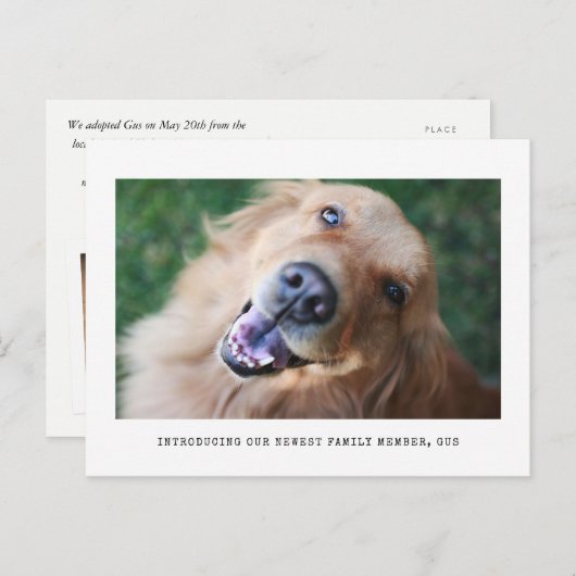 写真シンプルの写真ペットの採用発表 案内ポストカード (正面/裏面)