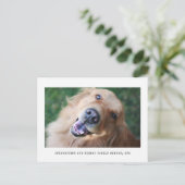 写真シンプルの写真ペットの採用発表 案内ポストカード (スタンド正面)