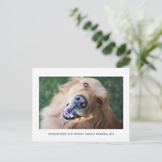 写真シンプルの写真ペットの採用発表 案内ポストカード (スタンド正面)