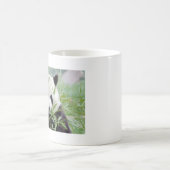 写真ジャイアントパンダ動物0004。 コーヒーマグカップ (中央)