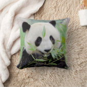 写真ジャイアントパンダ0318。 クッション (ブランケット)
