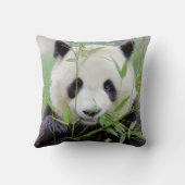 写真ジャイアントパンダ0318。 クッション (裏面)