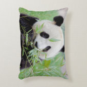 写真ジャイアントパンダ0322。 アクセントクッション (正面(垂直))