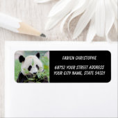 写真ジャイアントパンダ、動物0345。 ラベル (インサイチュ)