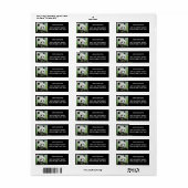 写真ジャイアントパンダ、動物0345。 ラベル (フルシート)