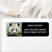 写真ジャイアントパンダ、動物0346。 ラベル (インサイチュ)