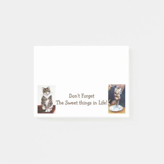 写真テンプレートしな忘れい ポストイット (正面)