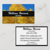 写真テンプレートエレガントはっきりしたレイアウト100ボックス 名刺 (正面/裏面)