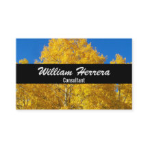 写真テンプレートエレガントはっきりしたレイアウト100ボックス